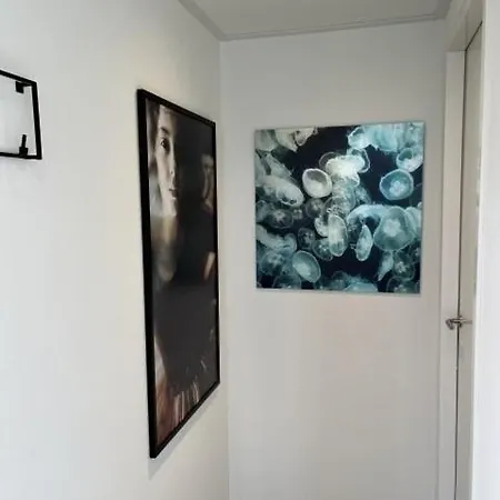 Enkhuizer Meeresbrise Dritte Reihe Mit Zaun Haus Nr 251 * Enkhuizen