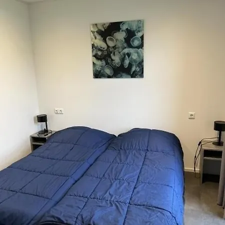 Enkhuizer Meeresbrise Dritte Reihe Mit Zaun Haus Nr 251 Feriehus